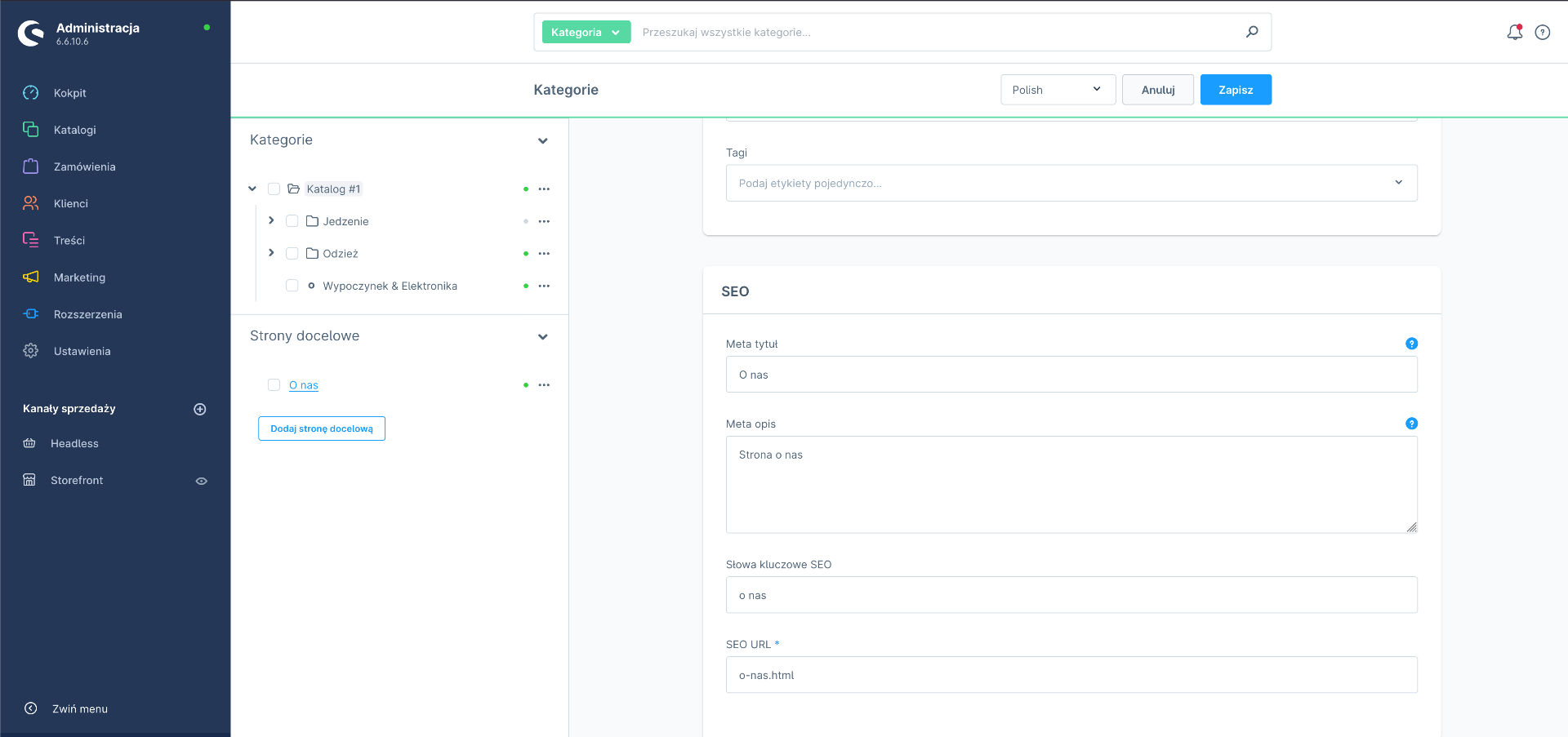 ustawienia seo strony CMS